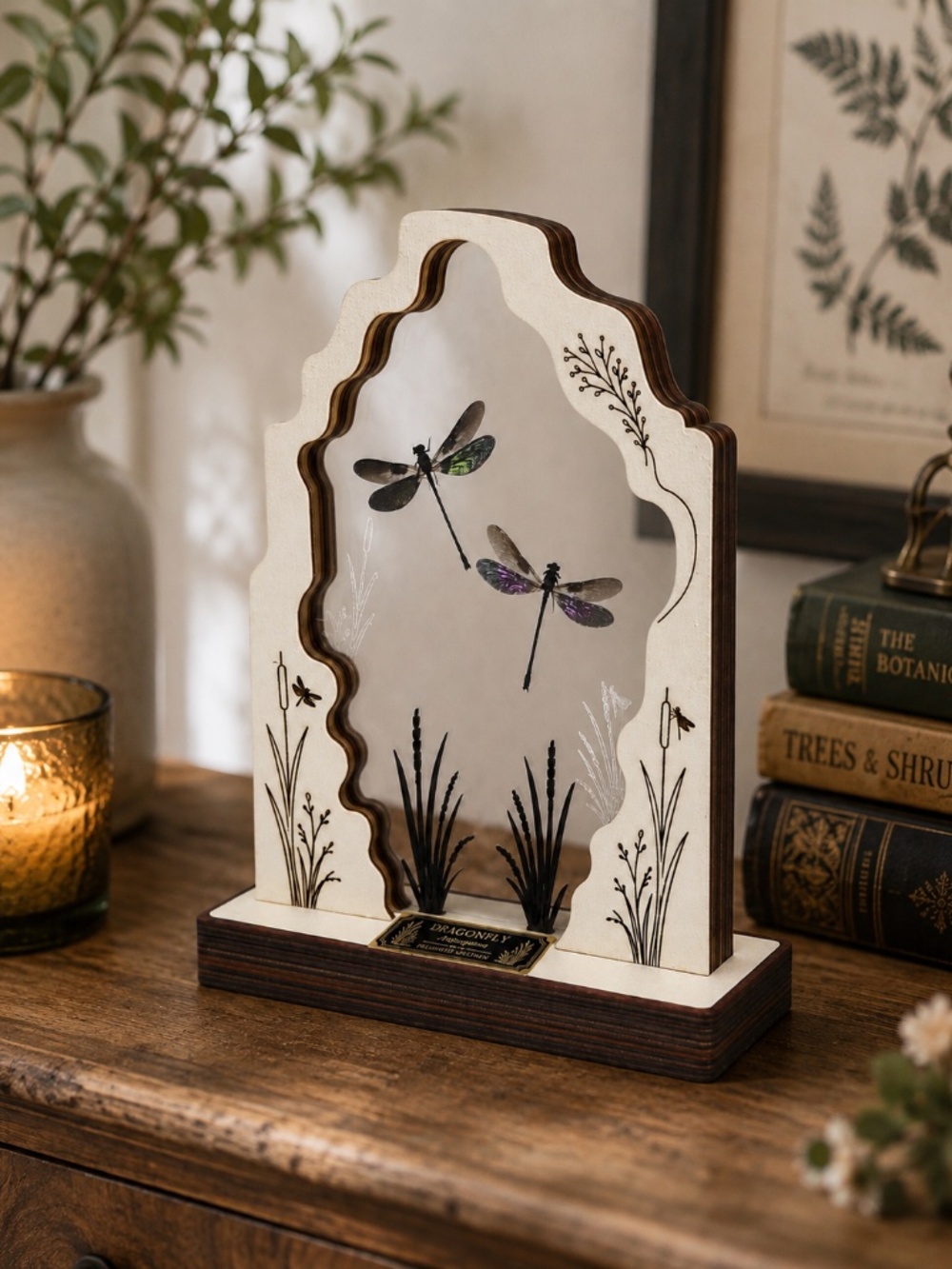 Preserved Dragonfly Display, Two Specimens in Engraved Wood and Acrylic